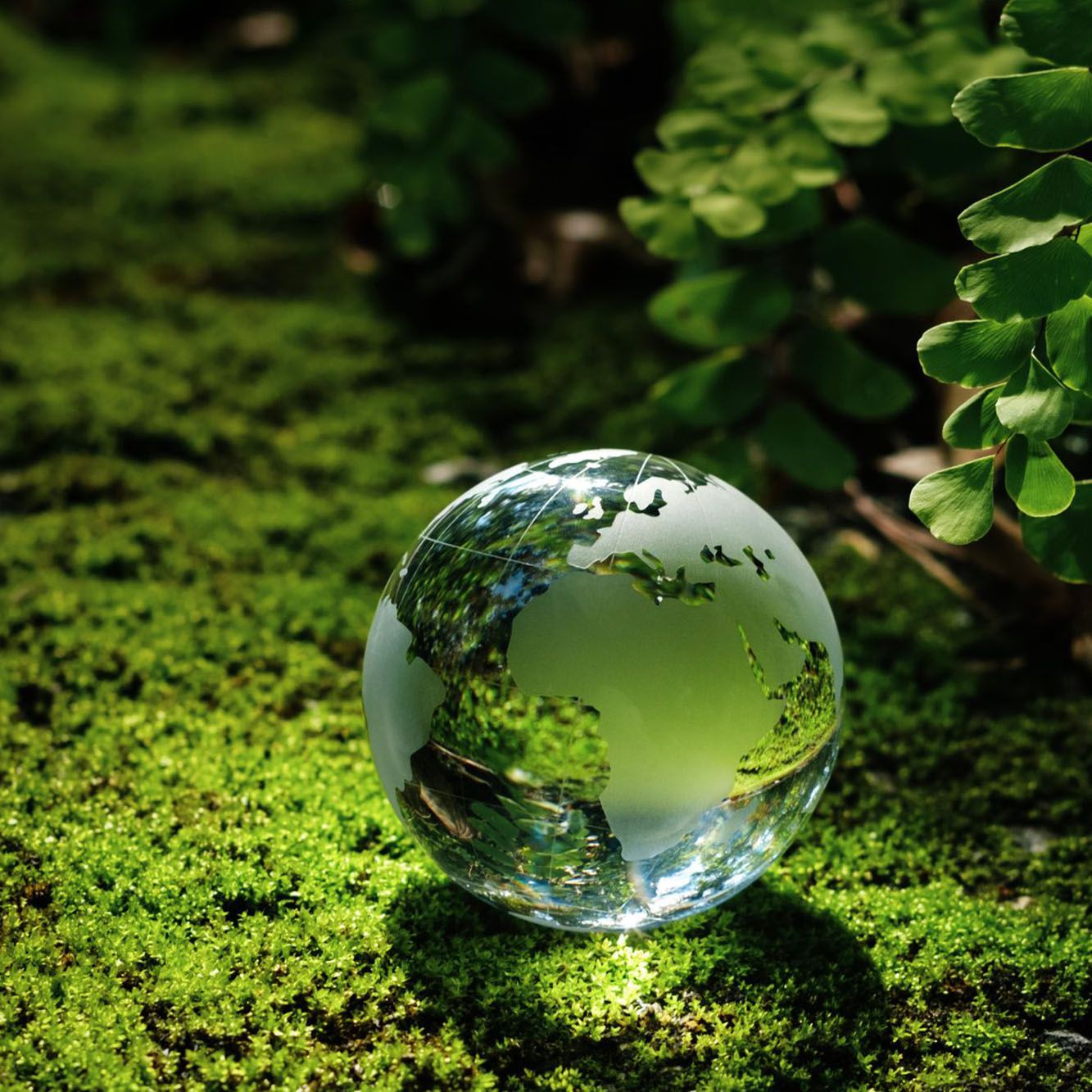 Découvrir l'hôtel Ibis Budget Vannes