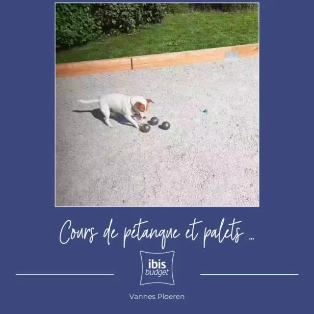 🌞 La saison des jeux extérieurs est ouverte à l'Ibis Budget Vannes Ploeren !
Adressez-vous à l'accueil pour profiter de l'équipement à disposition, et si besoin de cours particuliers, Pablo se fera un grand plaisir de vous accompagner 😉😁

www.hotel-budget-vannes.com
#hotelibisbudgetvannes #hotel #vannes #ibisbudget