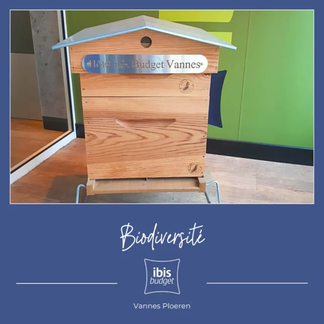 🐝🍯 Un partenariat qui a du goût… et du sens ! 🍯🐝

À l’Ibis Budget Vannes Ploeren, nous avons à cœur de soutenir les initiatives locales et de proposer à nos clients des produits simples, bons et engagés 🌿

C’est pourquoi nous sommes fiers de collaborer avec Bee Happy Miel, apiculteur passionné, qui nous fournit un miel récolté avec amour et respect de la nature 🍃💛

👉 Vous pouvez savourer ce délicieux miel chaque matin au buffet petit-déjeuner — un vrai rayon de soleil dans votre journée 🌞

Merci à Bee Happy Miel pour son travail précieux… et à nos clients pour leur goût du local !

www.hotel-budget-vannes.com
#hotelibisbudgetvannes #hotel #vannes #ibisbudget
📍#IbisBudgetVannesPloeren #BeeHappyMiel #MielLocal #PetitDéjeuner #SoutienLocal #ApicultureResponsable #BonMatin