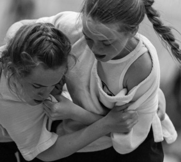 D&eacute;monstration et initiation de gouren &agrave; Vannes